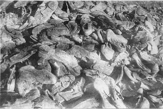 Shoes of victims in the Janowska camp
