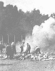 Cremation of corpses at Auschwitz-Birkenau. This photograph was taken clandestinely by prisoners in the Sonderkommando.