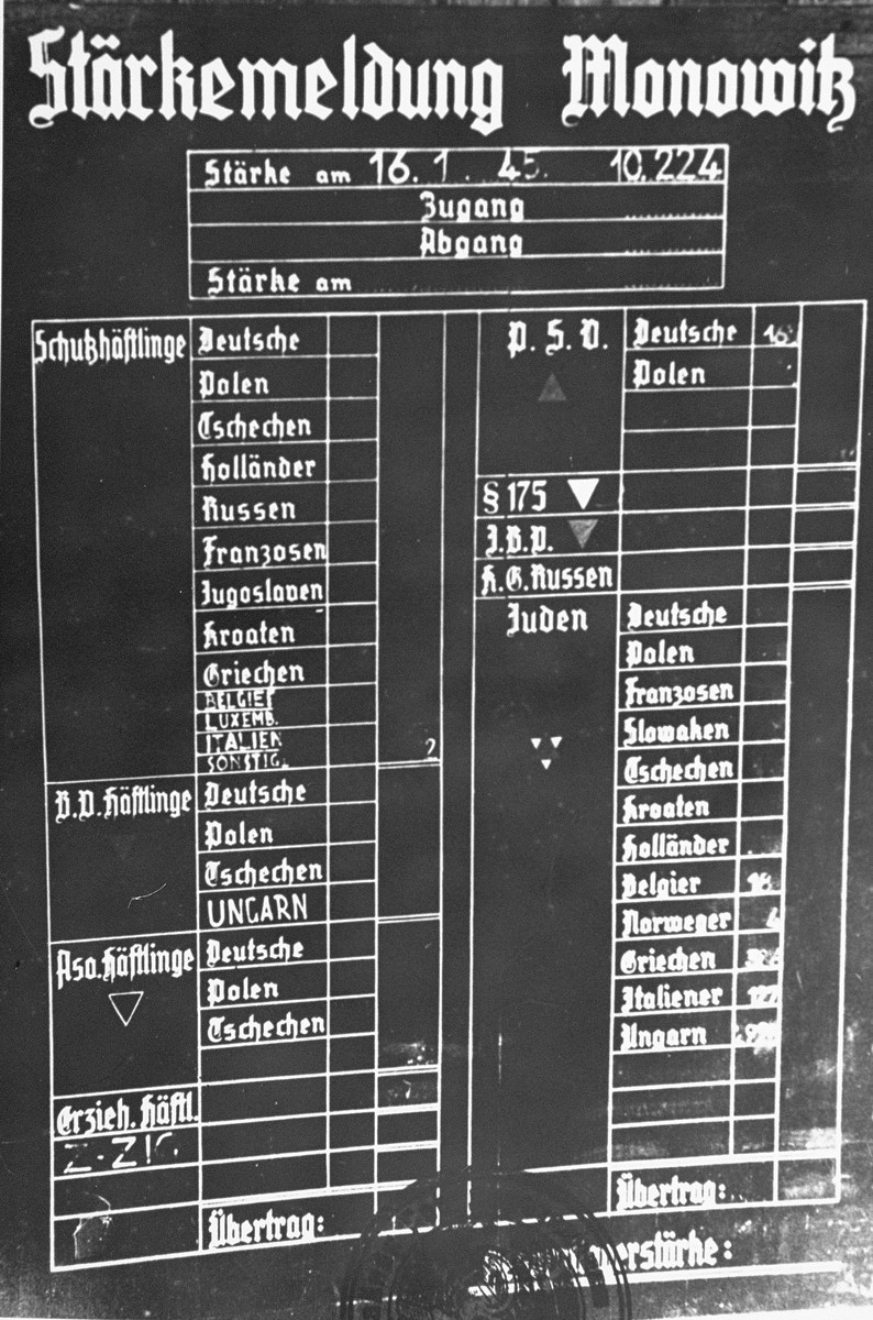 Chart indicating the workforce of the Auschwitz-Monowitz camp by category and nationality of inmates.