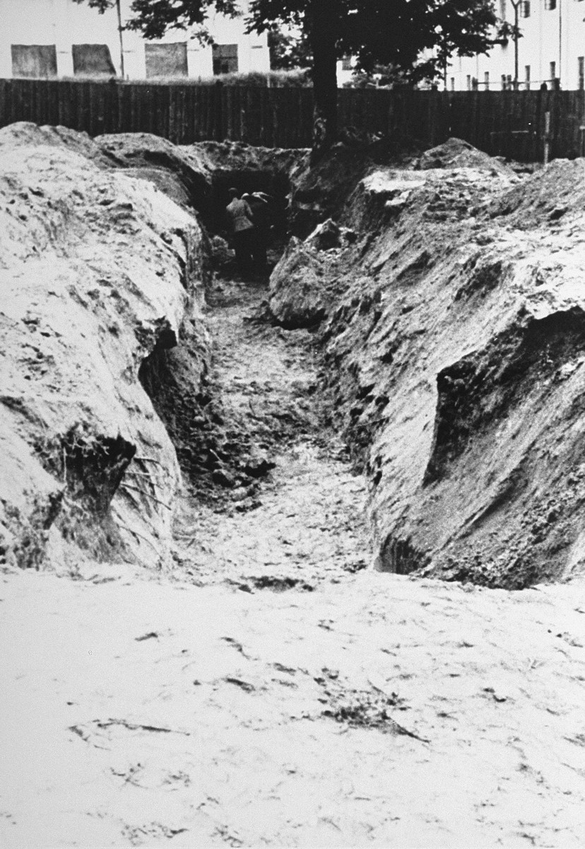 A mass grave dug by Jewish forced laborers for the bodies of individuals murdered by the NKVD in Lvov prisons. [LCID: 81532]