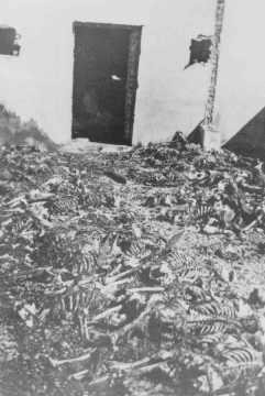 Remains of inmates in front of a crematorium at the Majdanek camp. [LCID: 50521]