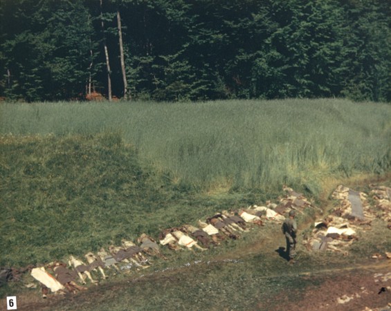 An American soldier stands among the corpses of prisoners exhumed from a mass grave in a ravine near Nammering.