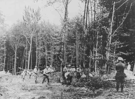  An SS guard supervises prisoner forced laborers in the forest near the Buchenwald concentration camp. [LCID: 31172]