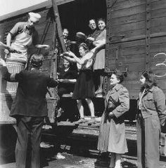 Displaced Persons Act | Holocaust Encyclopedia