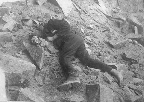 A Soviet inmate lies dead in the Mauthausen concentration camp quarry. [LCID: 19481]