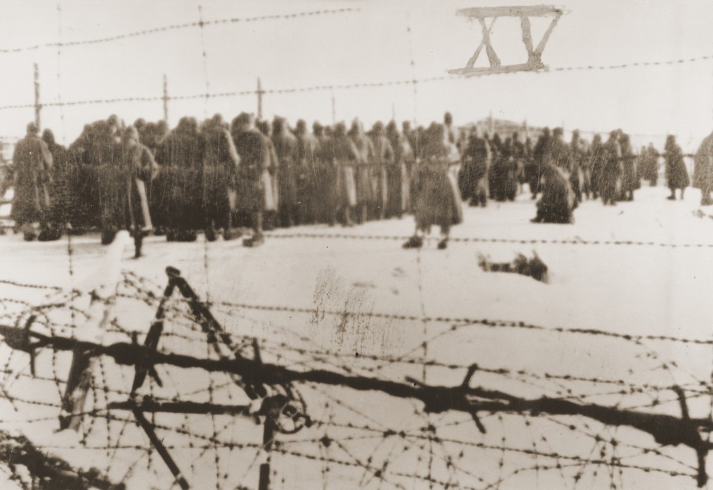 Photograph from a series taken by a guard in the Soviet POW camp of Belzen bei Bergen, and numbered in Roman numerals by the American ... [LCID: 88847]