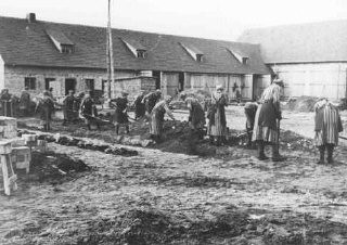A journey to Ravensbrück concentration camp, the Third Reich's largest  brothel, Culture