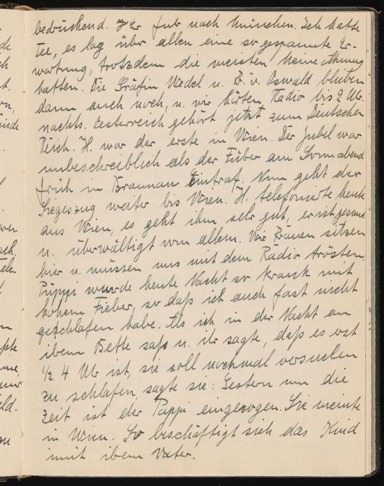 Marga Himmler diary entry, March 1938