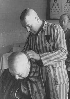 Shaving an inmate at the Sachsenhausen concentration camp.