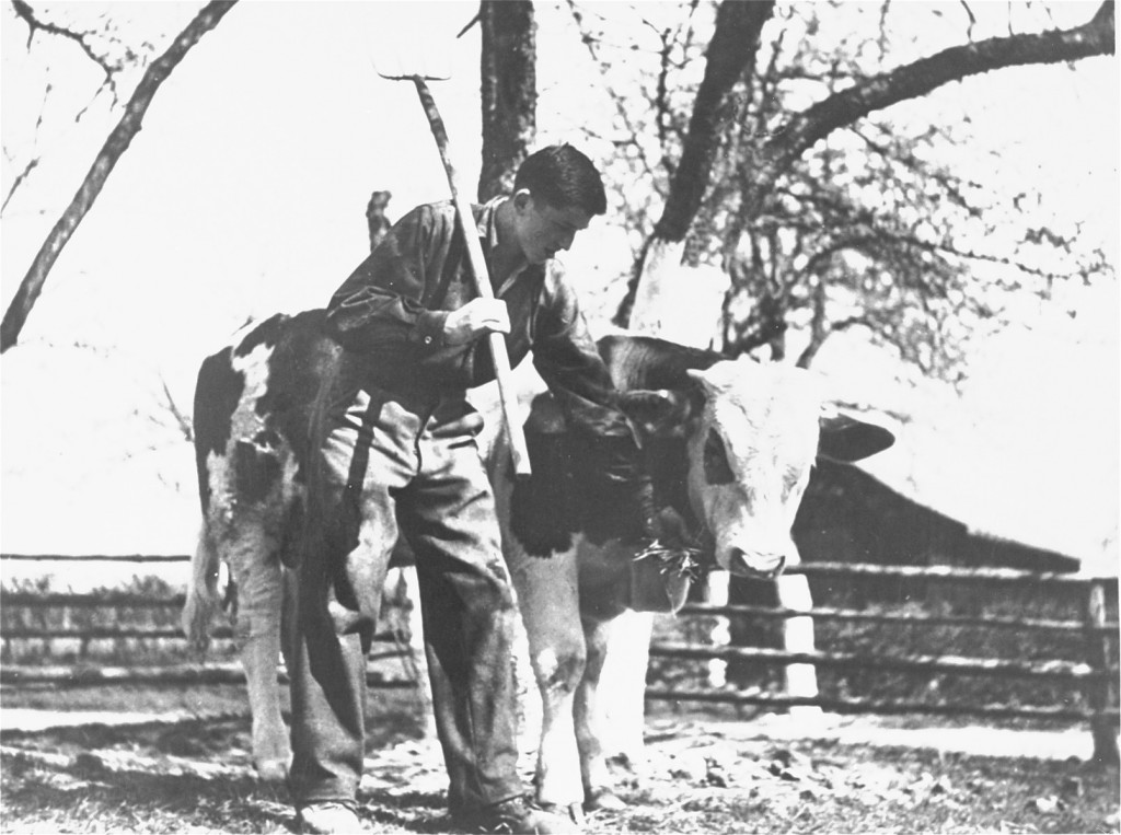 A Jewish youth on a Zionist agricultural training farm, sponsored by the Joint Distribution Committee. [LCID: 30143]