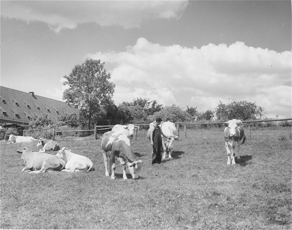 A Jewish youth on an agricultural training farm that prepared Jewish refugees for life in Palestine, sponsored by the Joint Distribution ... [LCID: 69203]