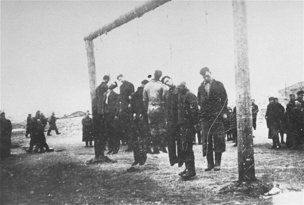 Members of the Lvov Jewish council are hanged by the Germans. [LCID: 78772]