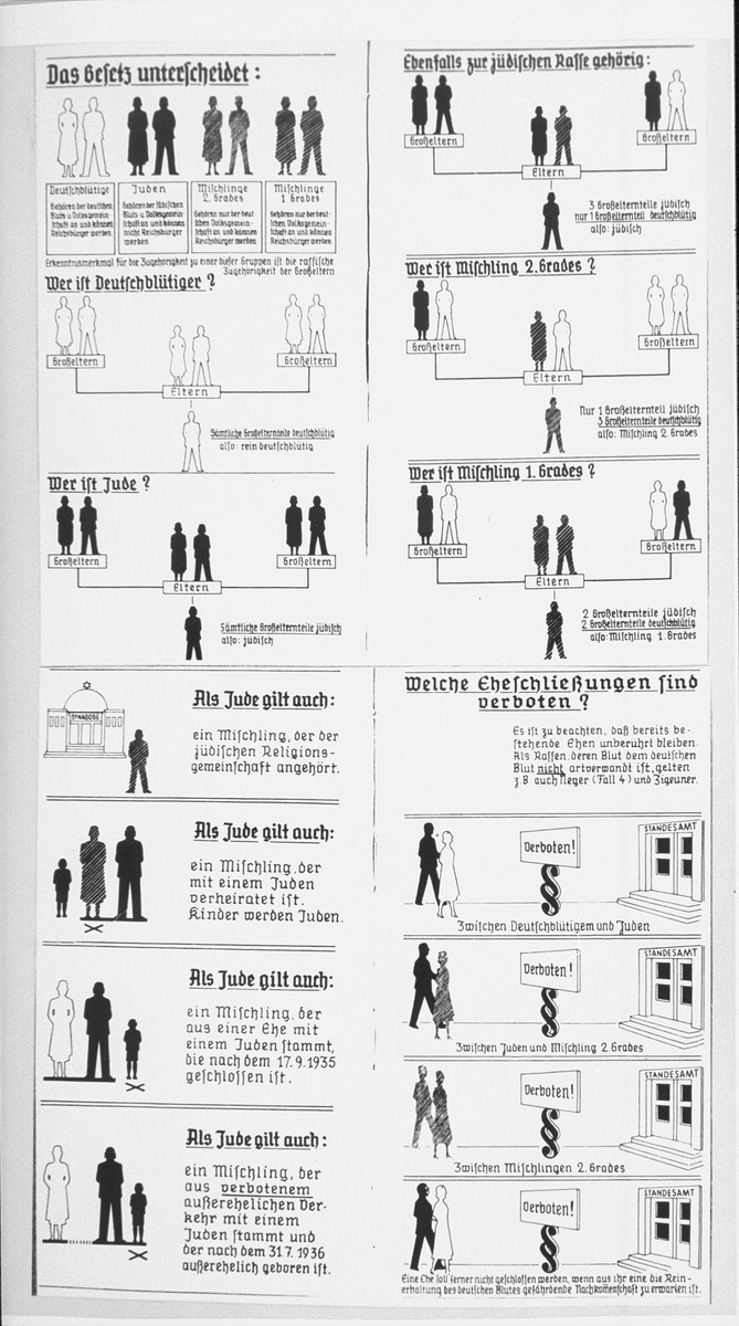 A large chart using human figures of various colors to illustrate the Nuremberg laws that defined German citizenship by blood and forbade marriages between Germans and Jews.
