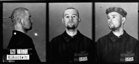Identification pictures of a homosexual prisoner who arrived in Auschwitz on November 27, 1941, and was transferred to Mauthausen ... [LCID: 02531]