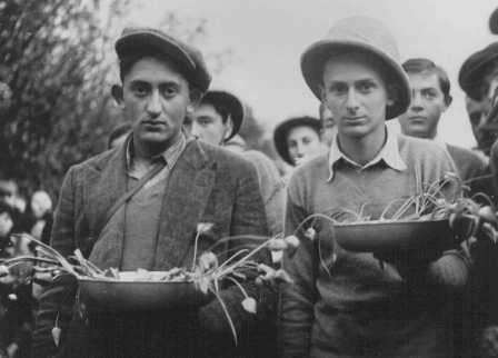 Polish Jewish refugee children known as the "Tehran Children," who arrived in Palestine via Iran, learn agricultural skills.
