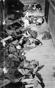 Corpses lie in one of the open railcars of the Dachau death train at the Dachau concentration camp in Germany.
