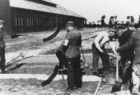 <p>Inmates of the Neuengamme concentration camp paving the street to the workshop under SS supervision. Neuengamme, Germany, 1943.</p>