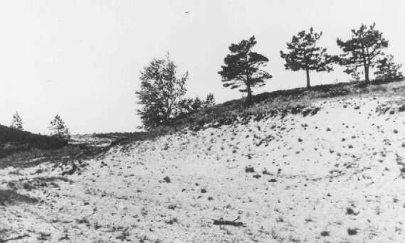 Site where members of Einsatzgruppe A (mobile killing unit A) and Estonian collaborators carried out a mass execution of Jews in September 1941.
