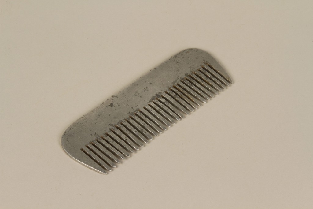Comb made by Yona Wygocka Dickmann [LCID: 1998tdh3]
