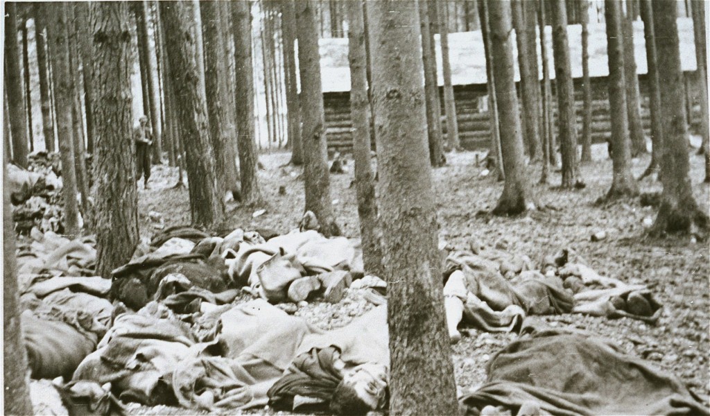 Corpses of victims of the Gunskirchen subcamp of the Mauthausen concentration camp. [LCID: 0728a]