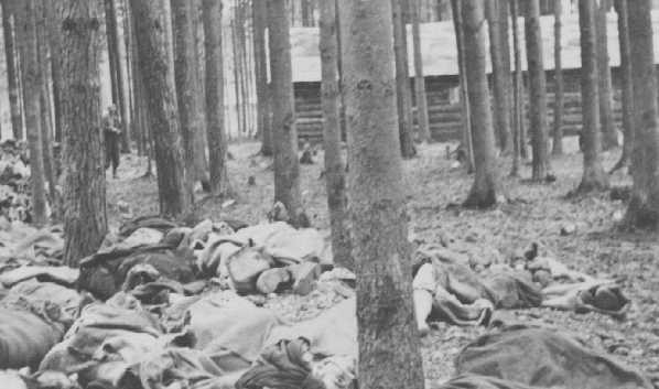 Corpses of victims of the Gunskirchen subcamp of the Mauthausen concentration camp. [LCID: 0728a]