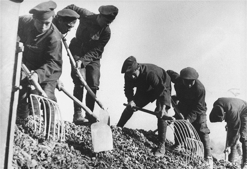 Slovak Jewish men work at road building in a forced-labor camp. [LCID: 77939]