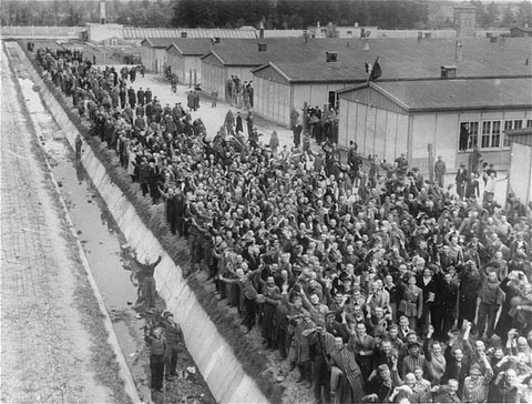 Foule de survivants acclamant les forces américaines à la suite de la libération du camp de concentration de Dachau par celles-ci. [LCID: 01100a]