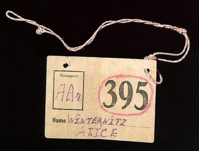 Alice (Lisl) Winternitz's luggage tag [LCID: 1998sqta]