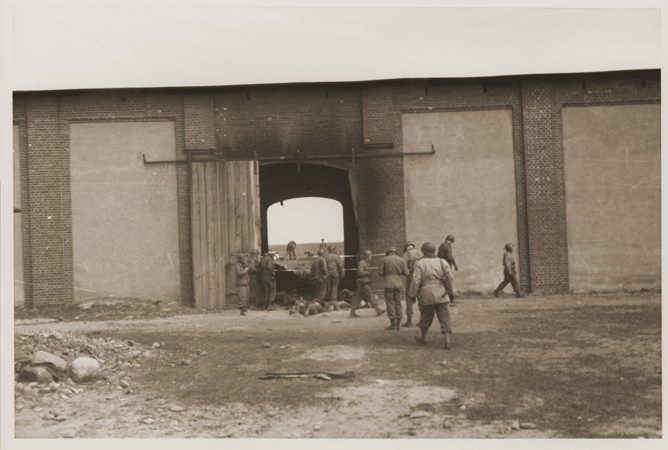 American troops inspect the site of the Gardelegen atrocity. [LCID: 17077]