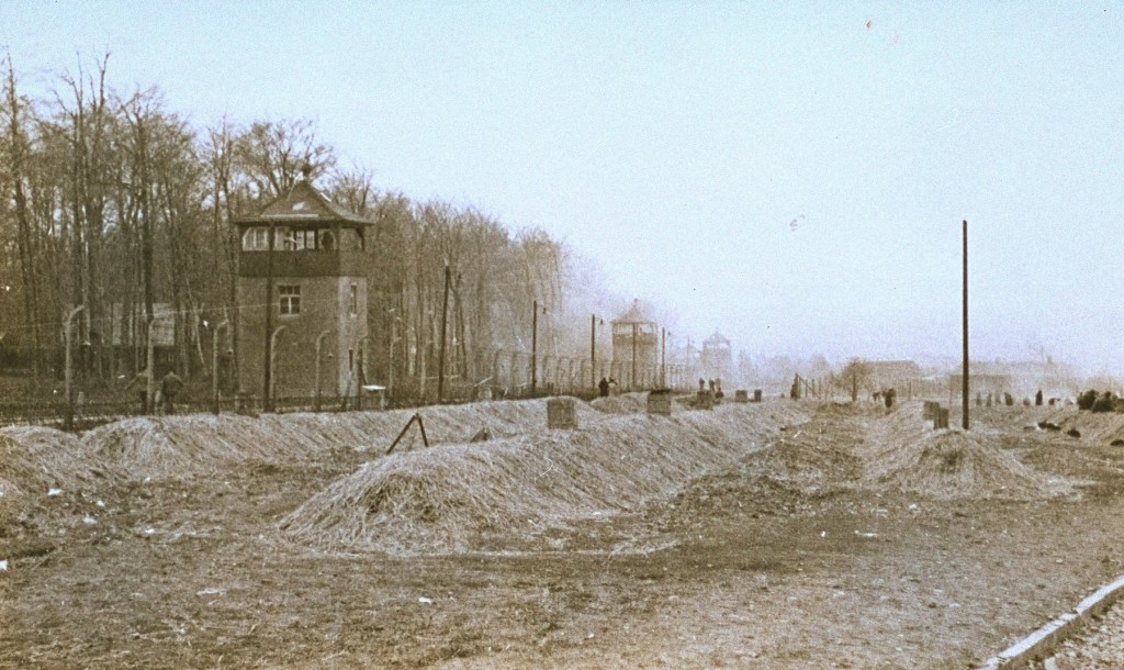 A view of the Buchenwald concentration camp after the liberation of the camp. [LCID: 11469]