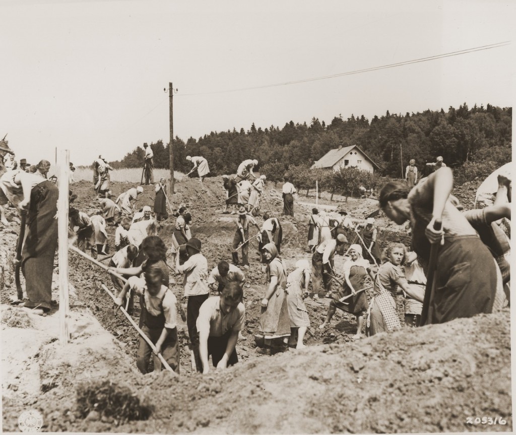 German civilians from the town of Nammering, under orders of American military authorities, dig graves for victims of a death march ... [LCID: 37246]
