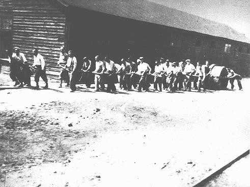 Jews at forced labor in a military camp in Sarajevo. [LCID: 64305]