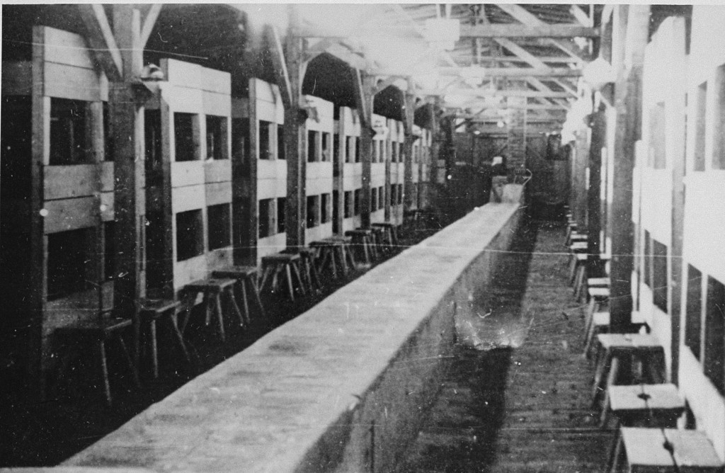 View of a barrack in the Auschwitz-Birkenau concentration camp. [LCID: 50794]