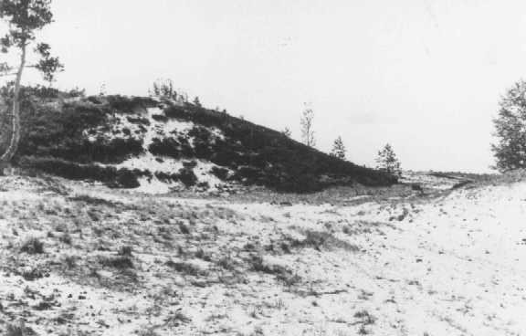 Site where members of Einsatzgruppe A (mobile killing unit A) and Estonian collaborators carried out a mass execution of Jews in ...