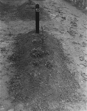 View of one of the mass graves at the Hadamar Institute. [LCID: 05490]