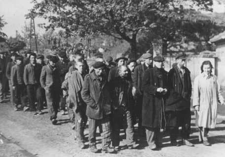  Arrival in Theresienstadt ghetto of a prisoner evacuation transport from a concentration camp.