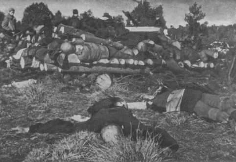Corpses of inmates from Klooga concentration camp stacked for burning.