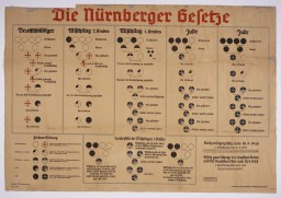 A large chart of family trees in German. These charts are made of circles in various colors that would help determine someone’s racial membership according to the law.