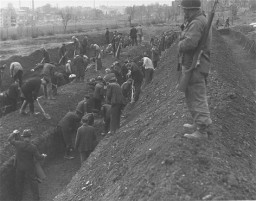 Under the supervision of an American soldier, German civilians dig mass graves for the victims of the Dora-Mittelbau concentration ... [LCID: 83810]