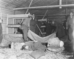 Medical corpsmen of the US 71st Infantry Division, 3rd US Army look on as captured German soldiers remove bodies from inside a barracks ... [LCID: 45036]