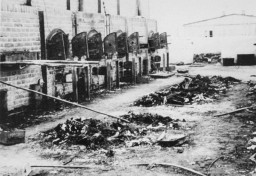 Charred remains of corpses near crematoria in the Majdanek camp, after liberation. [LCID: 50481]