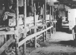 Internés au travail forcé dans la briqueterie du camp de concentration de Neuengamme. Allemagne, date incertaine.