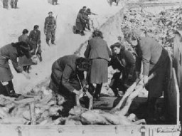 Un soldat britannique surveille des gardiennes SS forcées à porter les cadavres des victimes dans les fosses communes. Bergen-Belsen, Allemagne, après le 15 avril 1945.