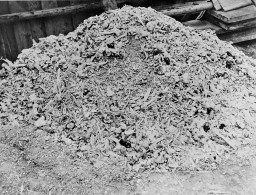 A large mound of ashes and bone fragments along the side of a wooden fence.