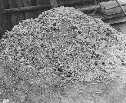 امریکی فوجیوں کو بوخن والڈ حراستی کیمپ میں ملنے والے راکھ اور ہڈیوں کے متعدد ڈھیروں میں سے ایک ڈھیر۔