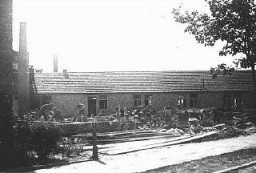 Internés juifs au travail forcé dans le camp de Plaszow.
