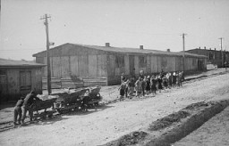 Internés juifs au travail forcé dans le camp de Plaszow. Plaszow, Pologne, 1943-1944.