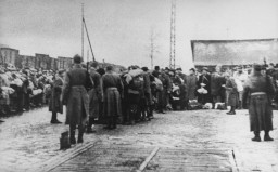 Deportation of Jews from the Jozsefvarosi train station in Budapest. [LCID: 74019]