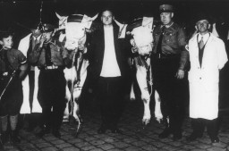 Across Germany, students took books by truck, furniture van, even oxcart, and heaped them into pyres on public squares. [LCID: 70106]