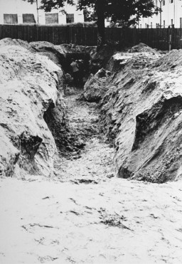 A mass grave dug by Jewish forced laborers for the bodies of individuals murdered by the NKVD in Lvov prisons. [LCID: 81532]